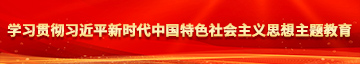 美国日本插入JJ男女视频学习贯彻习近平新时代中国特色社会主义思想主题教育